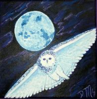 On Silent Feathers